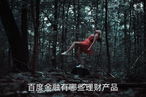百度有什么理財(cái)產(chǎn)品，百度金融有哪些理財(cái)產(chǎn)品