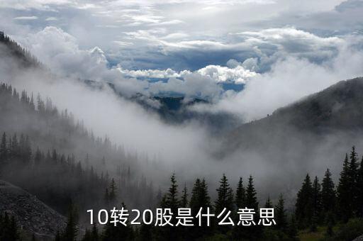 股票里的十轉(zhuǎn)二十什么意思，股票十送二十是什么意思