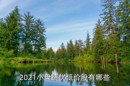 2021小盤績(jī)優(yōu)低價(jià)股有哪些