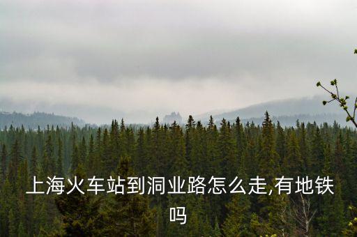  上?；疖?chē)站到洞業(yè)路怎么走,有地鐵嗎