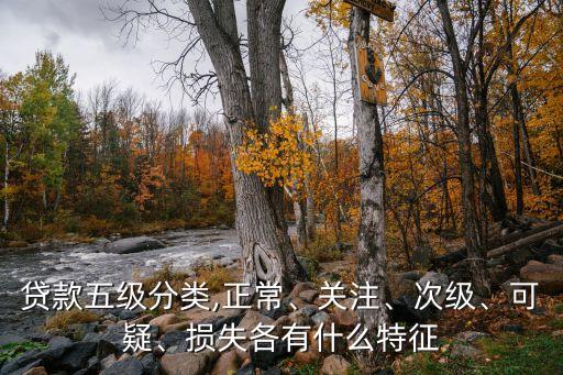 貸款五級(jí)分類,正常、關(guān)注、次級(jí)、可疑、損失各有什么特征