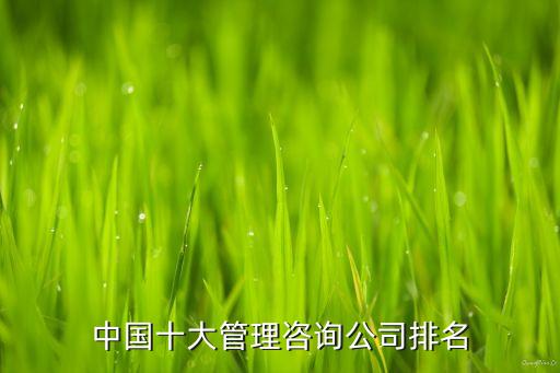 中國(guó)十大管理咨詢(xún)公司排名