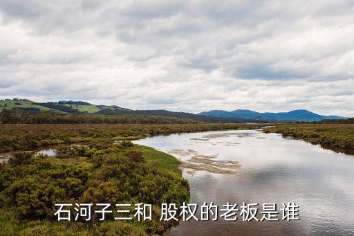 新疆宏晟明源股權投資有限公司