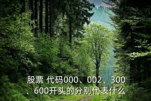  股票 代碼000、002、300、600開頭的分別代表什么