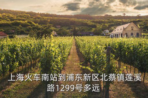  上?；疖嚹险镜狡謻|新區(qū)北蔡鎮(zhèn)蓮溪路1299號多遠