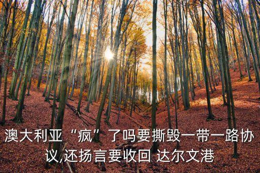 嵐橋集團達爾文港鳳凰網,嵐橋收購達爾文港