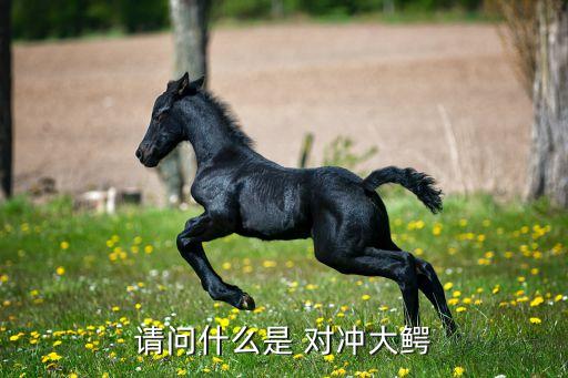 請(qǐng)問什么是 對(duì)沖大鱷