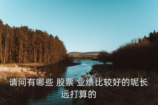 請問有哪些 股票 業(yè)績比較好的呢長遠打算的