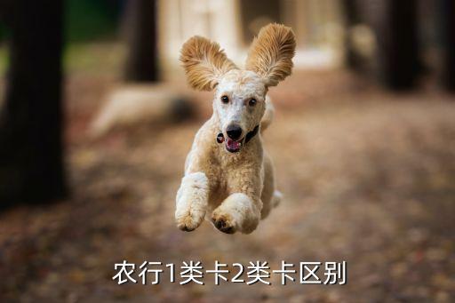 農(nóng)行直銷(xiāo)銀行,農(nóng)行手機(jī)銀行自己可以開(kāi)通嗎