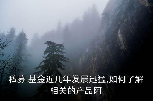 私募 基金近幾年發(fā)展迅猛,如何了解相關的產品阿