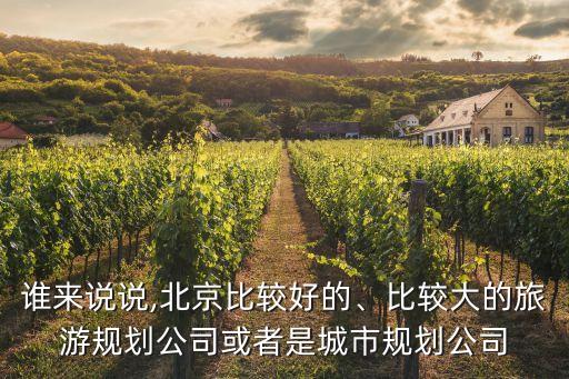 誰(shuí)來(lái)說(shuō)說(shuō),北京比較好的、比較大的旅游規(guī)劃公司或者是城市規(guī)劃公司
