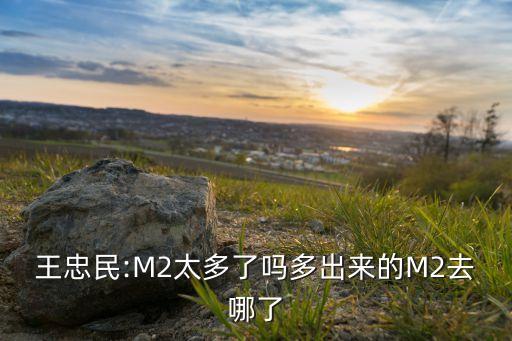 王忠民:M2太多了嗎多出來(lái)的M2去哪了