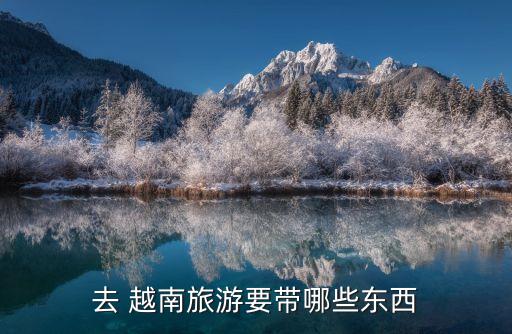 國(guó)際銀行在越南,越南bidv銀行APP