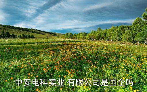  中安電科實(shí)業(yè) 有限公司是國企嗎