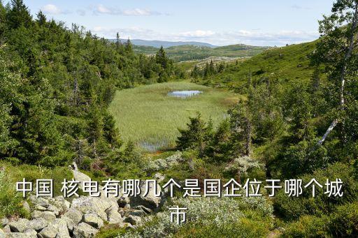 中國(guó) 核電有哪幾個(gè)是國(guó)企位于哪個(gè)城市