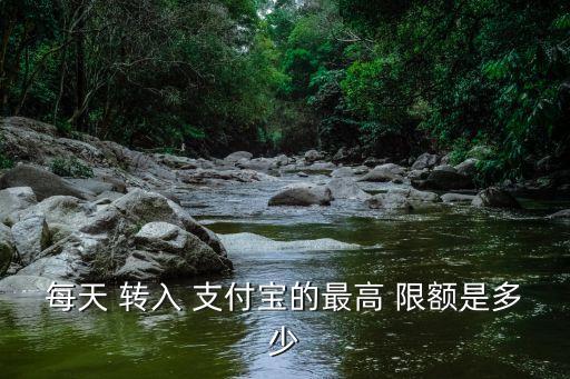 每天 轉入 支付寶的最高 限額是多少