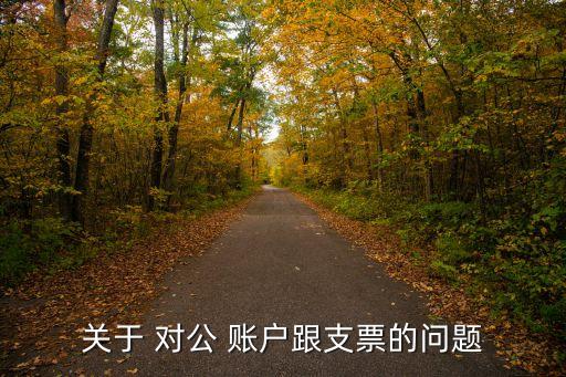 關于 對公 賬戶跟支票的問題