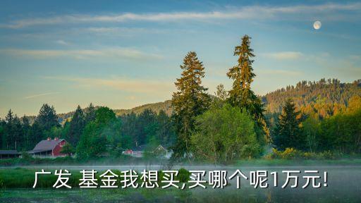 519008基金凈值查詢(xún),添富優(yōu)勢(shì)519008基金凈值
