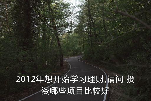 2012年想開始學(xué)習(xí)理財(cái),請問 投資哪些項(xiàng)目比較好