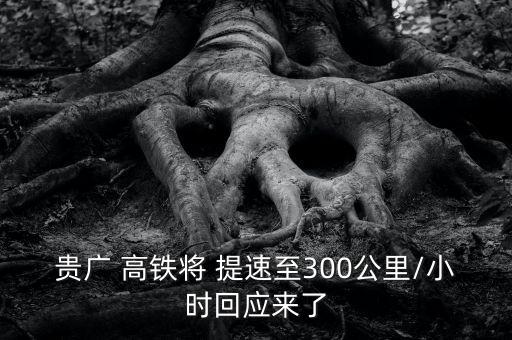 貴廣 高鐵將 提速至300公里/小時回應來了