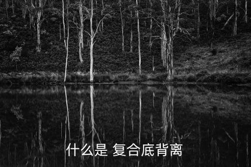 股票復(fù)合指標,股票中vol是什么指標