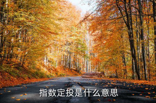  指數定投是什么意思