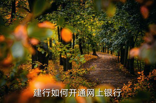 2015建設銀行個人網(wǎng)銀發(fā)展,建設銀行個人網(wǎng)銀限額在哪里調(diào)整