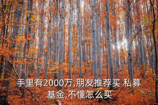 手里有2000萬(wàn),朋友推薦買(mǎi) 私募 基金,不懂怎么買(mǎi)