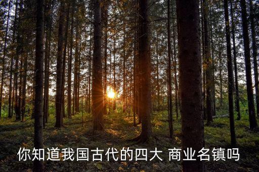 你知道我國(guó)古代的四大 商業(yè)名鎮(zhèn)嗎