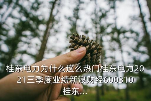 桂東電力為什么這么熱門(mén)桂東電力2021三季度業(yè)績(jī)新浪財(cái)經(jīng)600310桂東...