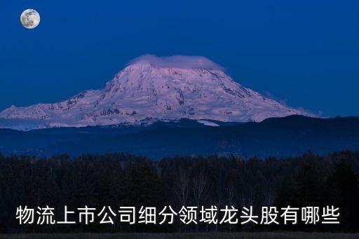 物流上市公司細分領域龍頭股有哪些