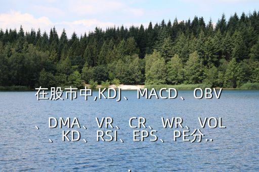 在股市中,KDJ、MACD、OBV、DMA、VR、CR、WR、VOL、KD、RSI、EPS、PE分...