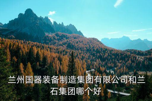  蘭州國器裝備制造集團有限公司和蘭石集團哪個好
