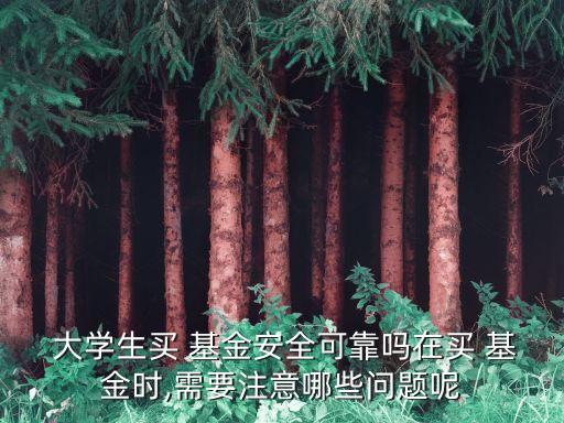 大學(xué)生理財(cái)個人基金,個人申報(bào)事項(xiàng)理財(cái)基金