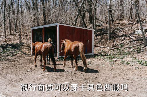銀行初面對(duì)正裝的要求,銀行正裝要求標(biāo)準(zhǔn)女