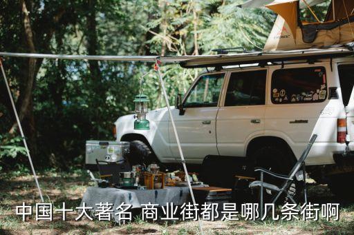 中國(guó)十大著名 商業(yè)街都是哪幾條街啊