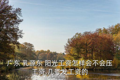 廣東 乳源東 陽光工資怎樣會(huì)不會(huì)壓工資,幾號(hào)發(fā)工資的