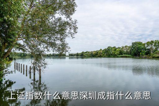 上證指數什么意思深圳成指什么意思