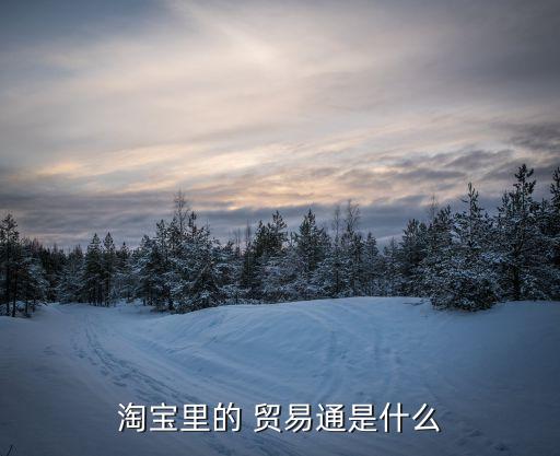 淘寶里的 貿易通是什么