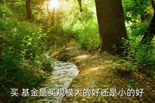 買(mǎi) 基金是買(mǎi)規(guī)模大的好還是小的好