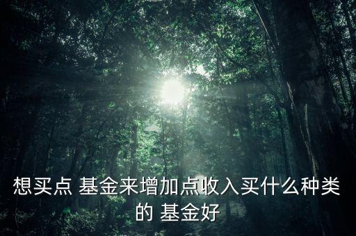 想買(mǎi)點(diǎn) 基金來(lái)增加點(diǎn)收入買(mǎi)什么種類(lèi)的 基金好