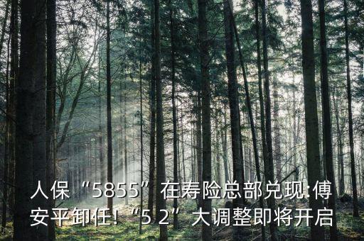 人保“5855”在壽險(xiǎn)總部?jī)冬F(xiàn):傅安平卸任!“5 2”大調(diào)整即將開啟