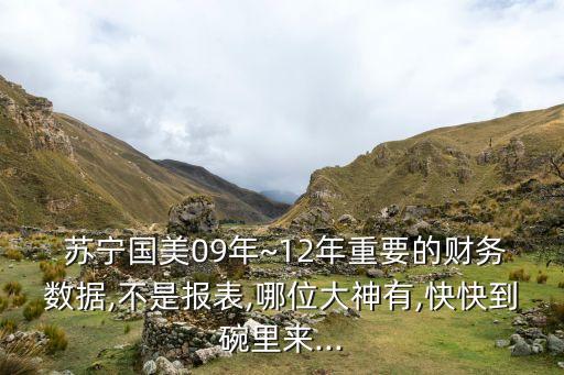  蘇寧國美09年~12年重要的財務數(shù)據(jù),不是報表,哪位大神有,快快到碗里來...