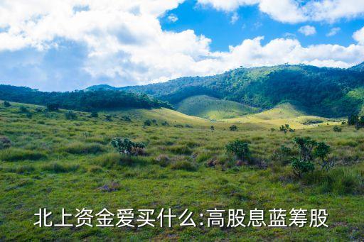 北上資金愛買什么:高股息藍(lán)籌股
