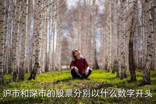 滬市和深市的股票分別以什么數(shù)字開(kāi)頭