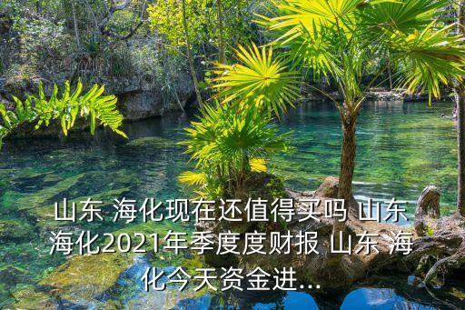 山東?；M出口有限公司