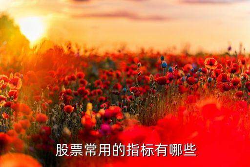  股票常用的指標有哪些