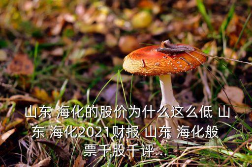  山東 ?；墓蓛r為什么這么低 山東 ?；?021財報 山東 海化般票千股千評...