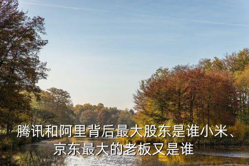  騰訊和阿里背后最大股東是誰小米、京東最大的老板又是誰