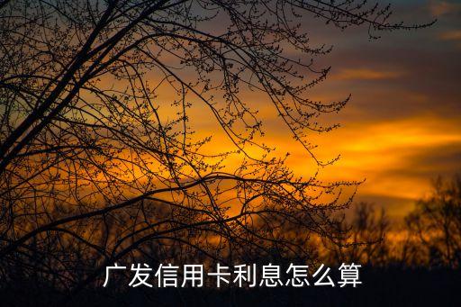廣發(fā)銀行2011年報(bào)